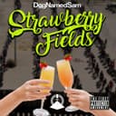 Strawberry Fields