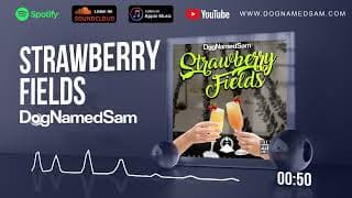 DogNamedSam - Strawberry Fields